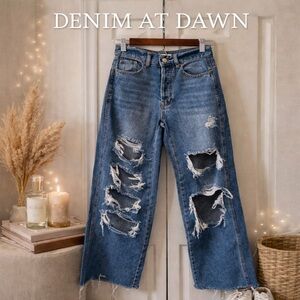 PacSun High-Rise Distressed Straight Leg Jeans | Size 24